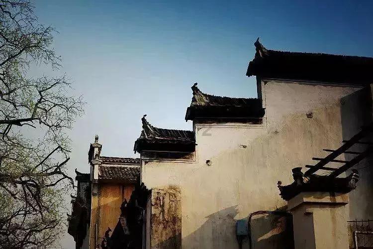 小小兵团